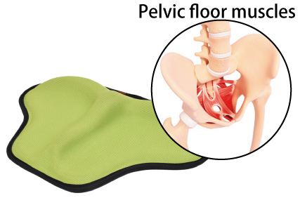 Training weakened muscles  that cause urine leakage.<br />
Pelvic floor muscles: The muscles that stop urine by tightening. Weakening of these muscles is said<br />
to cause urine leakage.