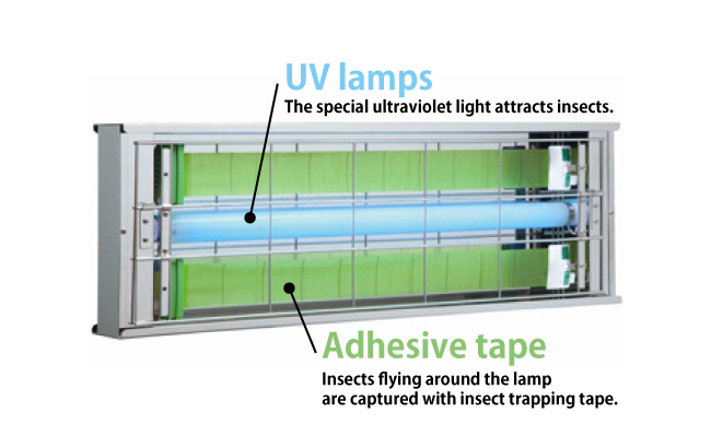 insect-light-trap